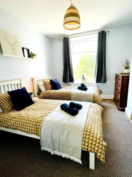 Rookley Villa, 3 Bedroom Family Apartment, Ventnor Dış mekan fotoğraf